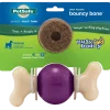 Busy Buddy Bouncy Bone Treat-Dispensing Dog Chew Toy with Refillable Rawhide Treats Multicolor Medium