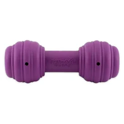 Busy Buddy Treat-Dispensing Chuckle Dog Toy Purple Medium/Large
