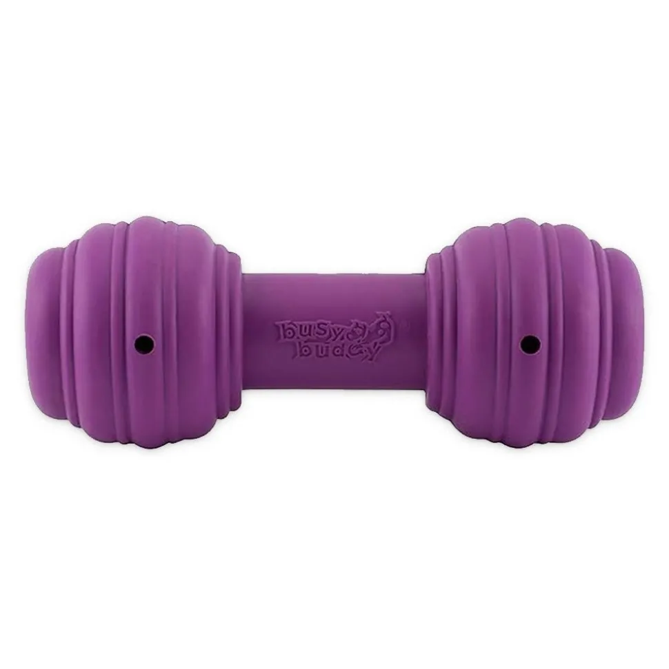 Busy Buddy Treat-Dispensing Chuckle Dog Toy Purple Medium/Large