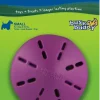 Busy Buddy Twist 'n Treat Treat-Dispensing Dog Toy Purple Small