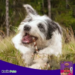 Cadet Gourmet Beef Hide & Duck Twist Sticks Dog Treats 5-in 50 Count