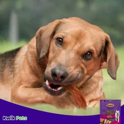 Cadet Gourmet Duck Breast Treats for Dogs 14-oz