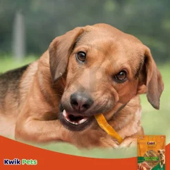 Cadet Gourmet Sweet Potato Steak Fries Dog Treats 2-lb