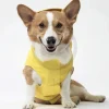 Canada Pooch Dog Torrential Tracker Yellow 16