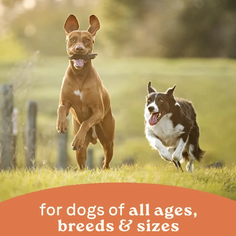 CANIDAE All Life Stages Canned Dog Food Chicken & Rice 13-oz