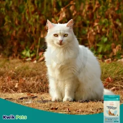 CANIDAE PURE Goodness for Digestion Adult Dry Cat Food Real Chicken 10-lb