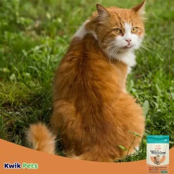 CANIDAE PURE Goodness for Skin & Coat Adult Dry Cat Food Salmon 10-lb