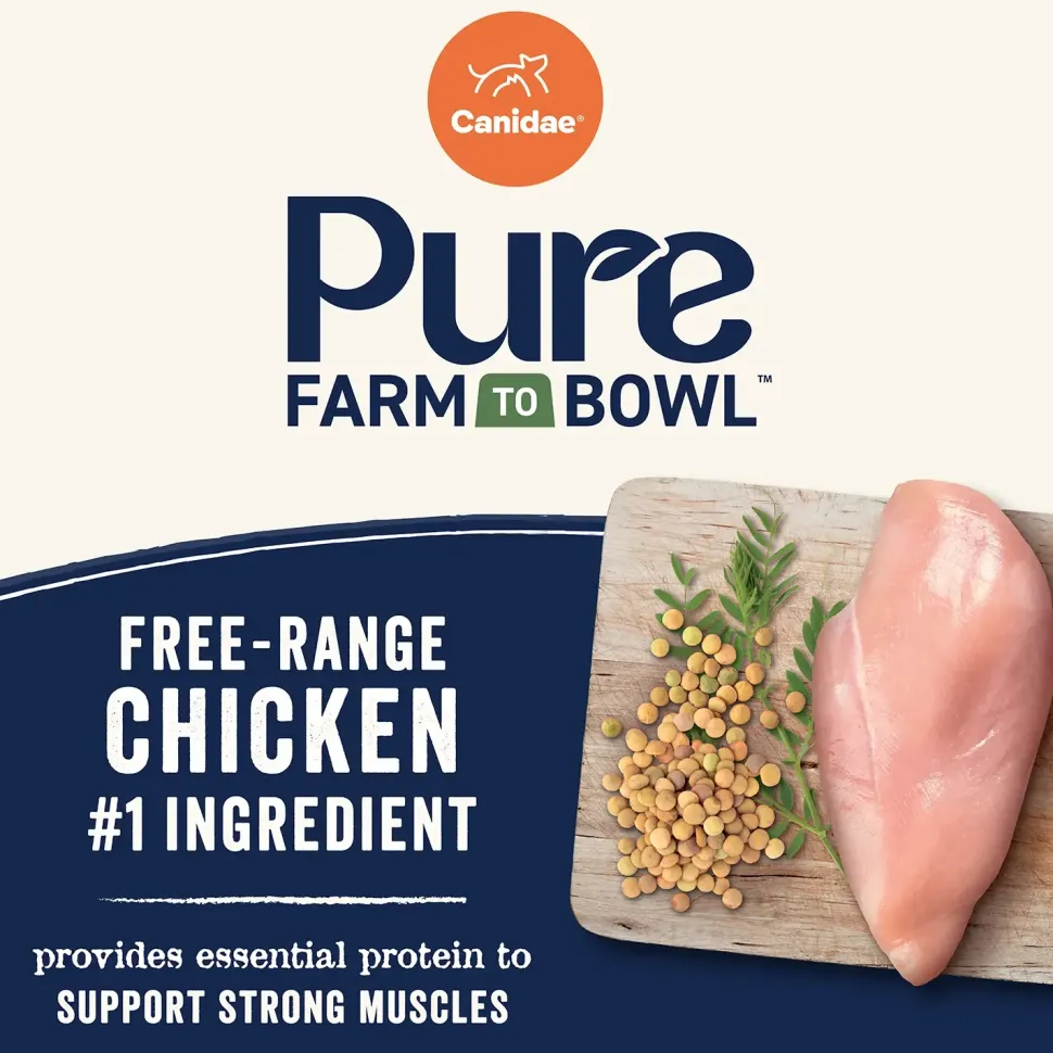 Canidae Pure Goodness Grain-Free Limited Ingredient Adult Dry Dog Food Real Chicken, Lentil & Potato Recipe 4-lb