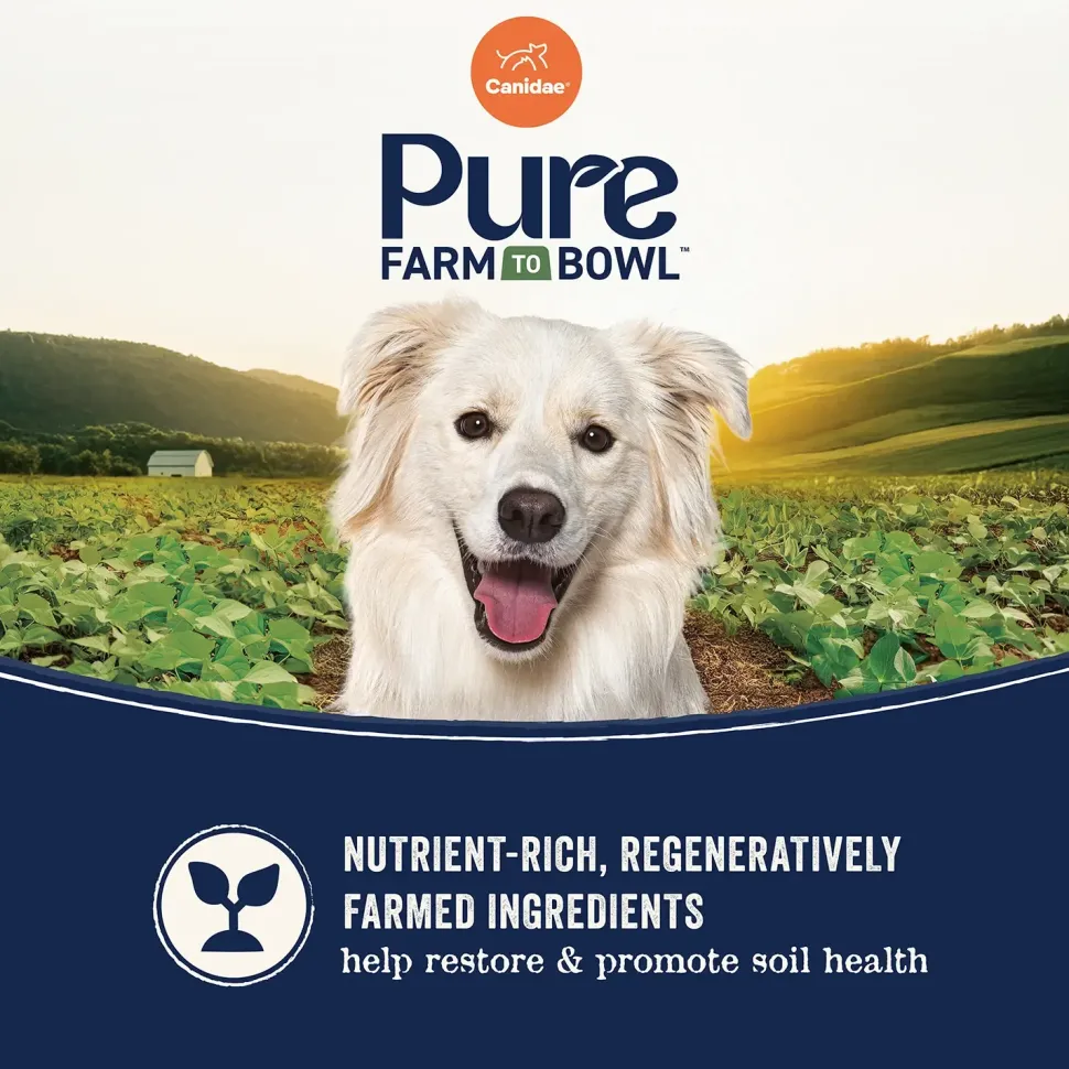 Canidae Pure Goodness Grain-Free Limited Ingredient Adult Dry Dog Food Real Bison, Lentil & Carrot Recipe 10-lb