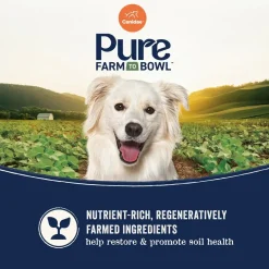 CANIDAE PURE Goodness Grain-Free Adult Dry Dog Food Real Salmon & Sweet Potato 4-lb
