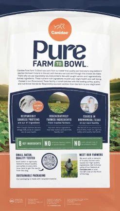 CANIDAE PURE Goodness Grain-Free Adult Dry Dog Food Real Salmon & Sweet Potato 4-lb