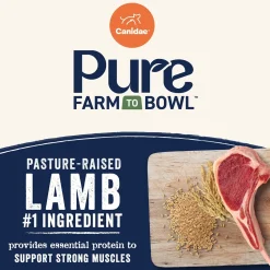 Canidae Pure Goodness Wholesome Grains Adult Dry Dog Food Real Lamb & Brown Rice Recipe 4-lb