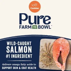 Canidae Pure Goodness Wholesome Grains Adult Dry Dog Food Real Salmon & Barley Recipe 4-lb