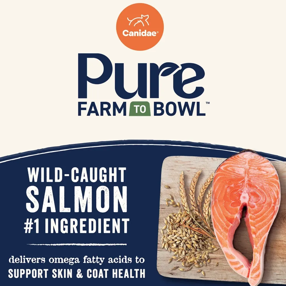 Canidae Pure Goodness Wholesome Grains Adult Dry Dog Food Real Salmon & Barley Recipe 4-lb