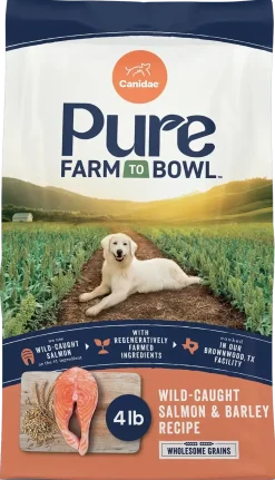 Canidae Pure Goodness Wholesome Grains Adult Dry Dog Food Real Salmon & Barley Recipe 4-lb