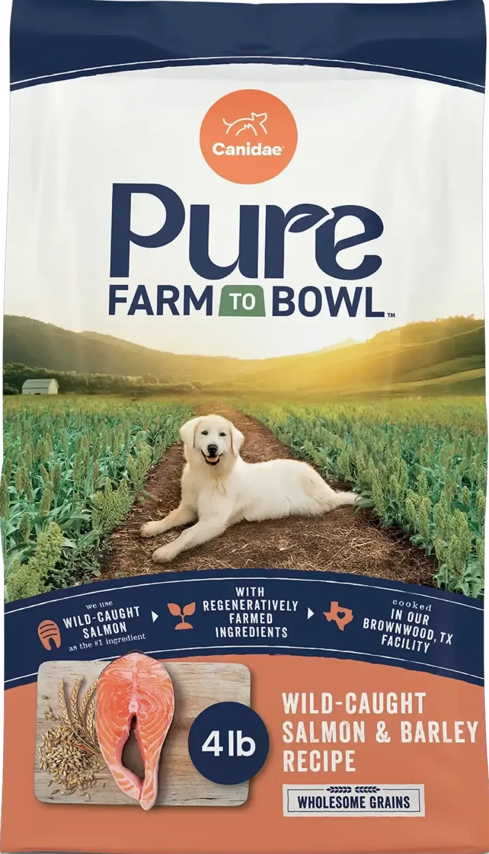 Canidae Pure Goodness Wholesome Grains Adult Dry Dog Food Real Salmon & Barley Recipe 4-lb
