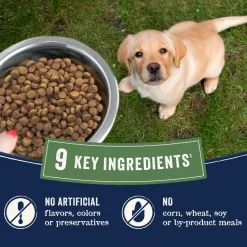 CANIDAE PURE Goodness Wholesome Grains Puppy Dry Food Real Salmon & Oatmeal 4-lb