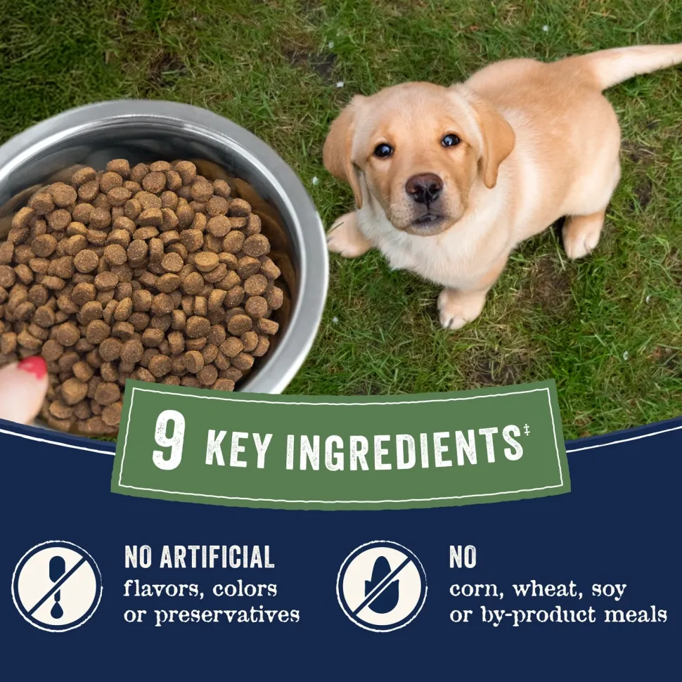 CANIDAE PURE Goodness Wholesome Grains Puppy Dry Food Real Salmon & Oatmeal 4-lb