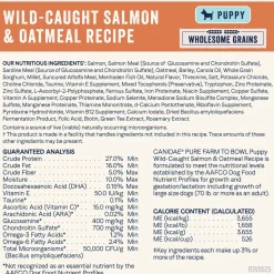 CANIDAE PURE Goodness Wholesome Grains Puppy Dry Food Real Salmon & Oatmeal 4-lb