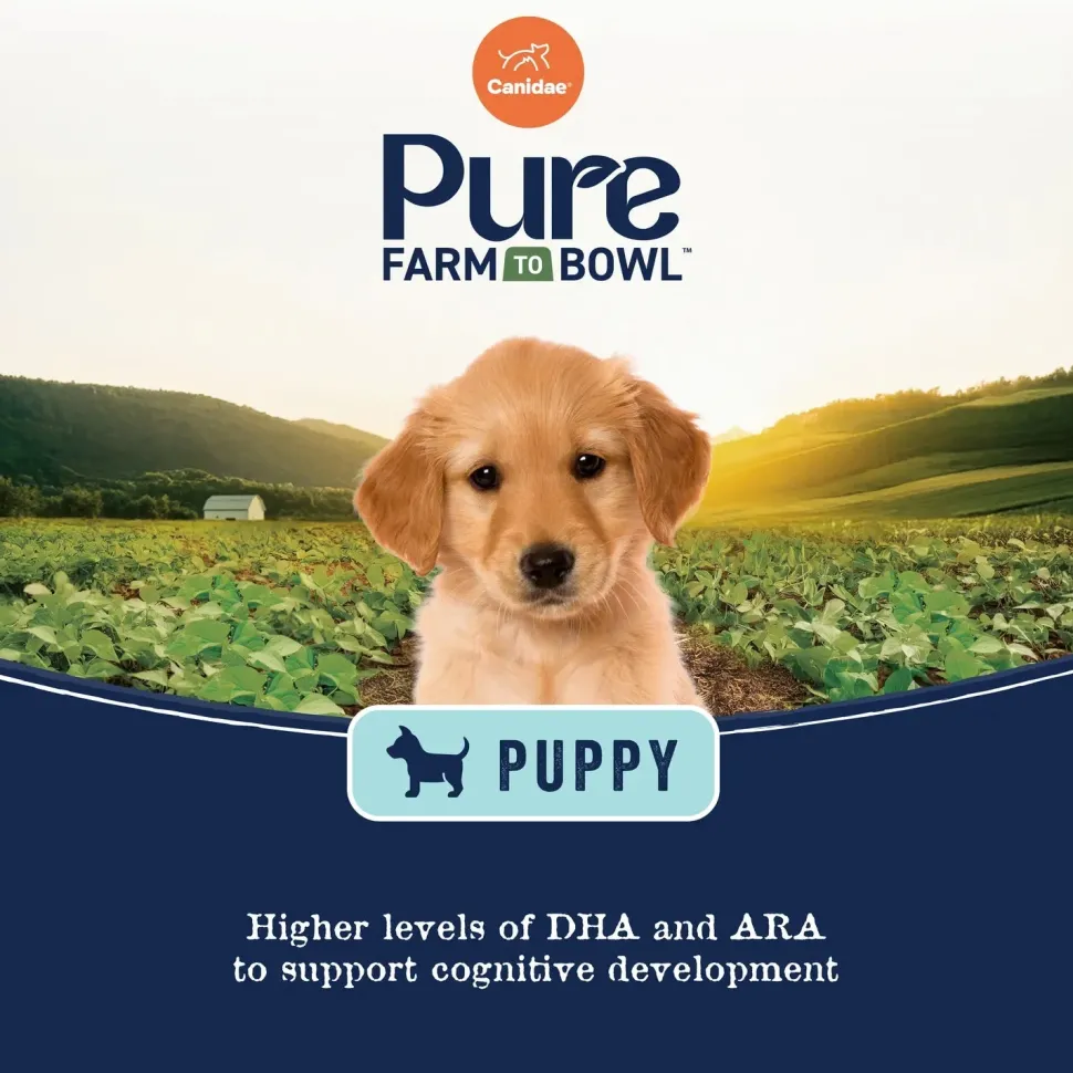 CANIDAE PURE Goodness Wholesome Grains Puppy Dry Food Real Salmon & Oatmeal 4-lb