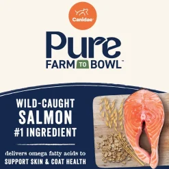 CANIDAE PURE Goodness Wholesome Grains Puppy Dry Food Real Salmon & Oatmeal 4-lb