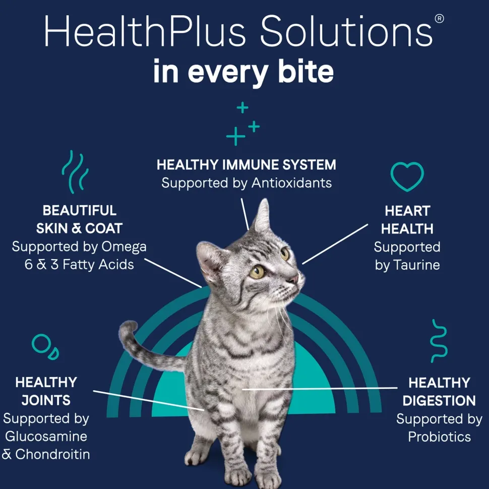 CANIDAE Pure Grain-Free Limited Ingredient Dry Cat Food Premium Recipe with Chicken 5-lb