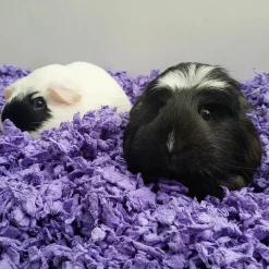 Carefresh Complete Comfort Purple Paper Bedding for Small Animals 50 Liter