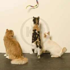 Cat Dancer Products Charmer Cat Toy Multicolor One Size