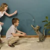 Cat Dancer Products Interactive Cat Toy Brown One Size