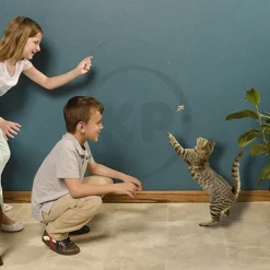 Cat Dancer Products Interactive Cat Toy Brown One Size