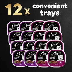 Cesar Classic Loaf in Sauce Adult Wet Dog Food Variety Pack Filet Mignon & Porterhouse Steak 12 Count 42.3-oz