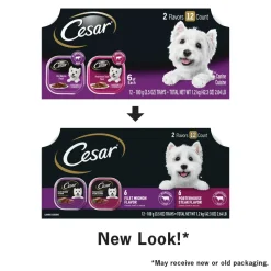 Cesar Classic Loaf in Sauce Adult Wet Dog Food Variety Pack Filet Mignon & Porterhouse Steak 12 Count 42.3-oz
