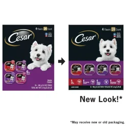Cesar Classic Loaf in Sauce Adult Wet Dog Food Variety Pack Beef, Filet Mignon, Grilled Chicken, Poterhouse Steak 24 Count 84.66-oz