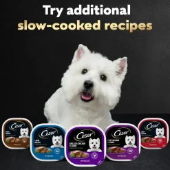 Cesar Classic Loaf in Sauce Adult Wet Dog Food Beef 3.5-oz 24 Count