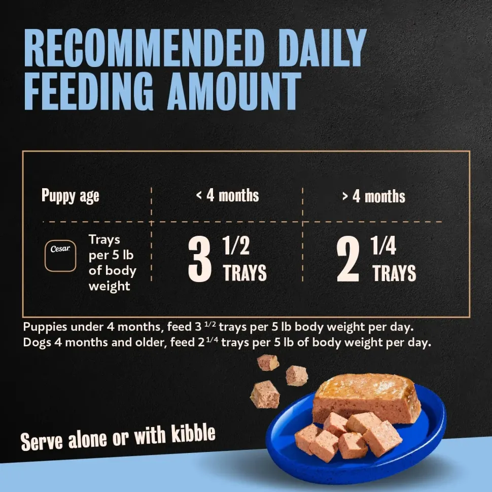 Cesar Classic Loaf in Sauce Puppy Wet Dog Food Chicken & Beef 3.5-oz