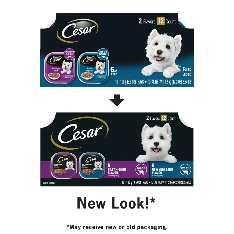 Cesar Filets in Gravy Adult Wet Dog Food Variety Pack Filet Mignon, New York Strip 12 Count 42.3-oz