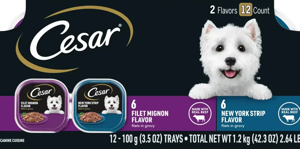 Cesar Filets in Gravy Adult Wet Dog Food Variety Pack Filet Mignon, New York Strip 12 Count 42.3-oz
