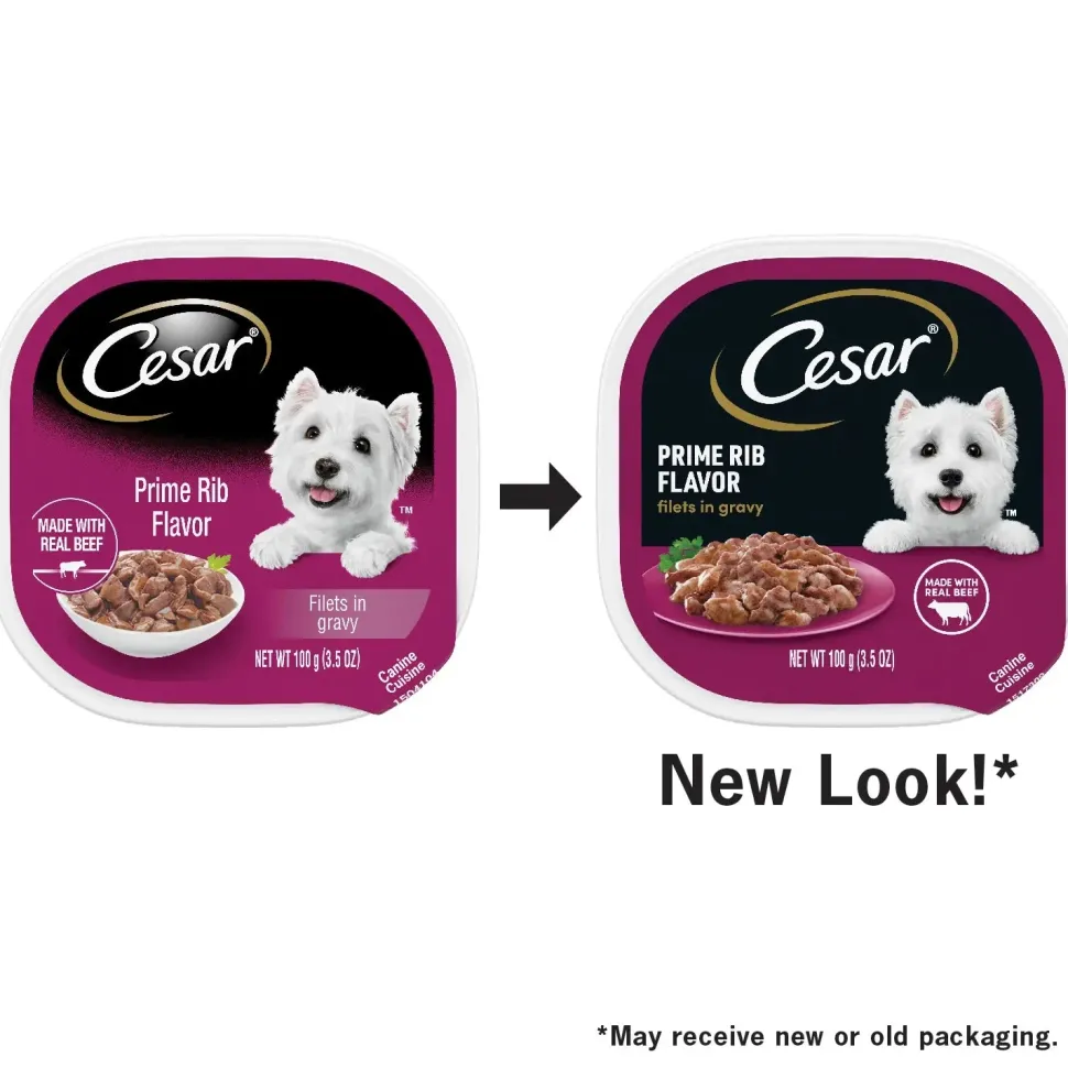 Cesar Filets in Gravy Adult Wet Dog Food Prime Rib 3.5-oz