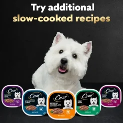 Cesar Filets in Gravy Adult Wet Dog Food Prime Rib 3.5-oz