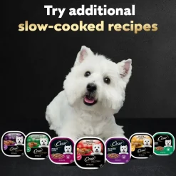 Cesar Loaf & Topper in Sauce Adult Wet Dog Food Angus Beef w/Bacon & Cheese 3.5-oz