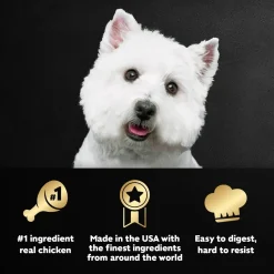 Cesar Loaf & Topper in Sauce Adult Wet Dog Food Rotisserie Chicken w/Bacon & Cheese 3.5-oz
