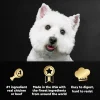 Cesar Loaf & Topper in Sauce Adult Wet Dog Food Variety Pack Rotisserie Chicken, Filet Mignon 12 Count 3.5-oz