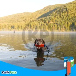 Chuckit! Amphibious Bumper Dog Toy Assorted Small