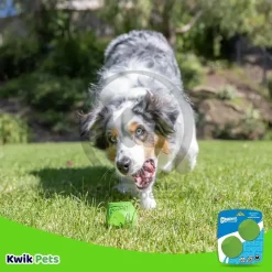 Chuckit! Erratic Ball Dog Toy Green Medium 2 Count