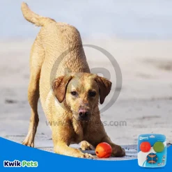 Chuckit! Fetch Ball Medley 2 Triple Pack Ball Dog Toy Medium 3 Count