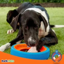 Chuckit! Fetch Wheel Dog Toy Blue/Orange Large