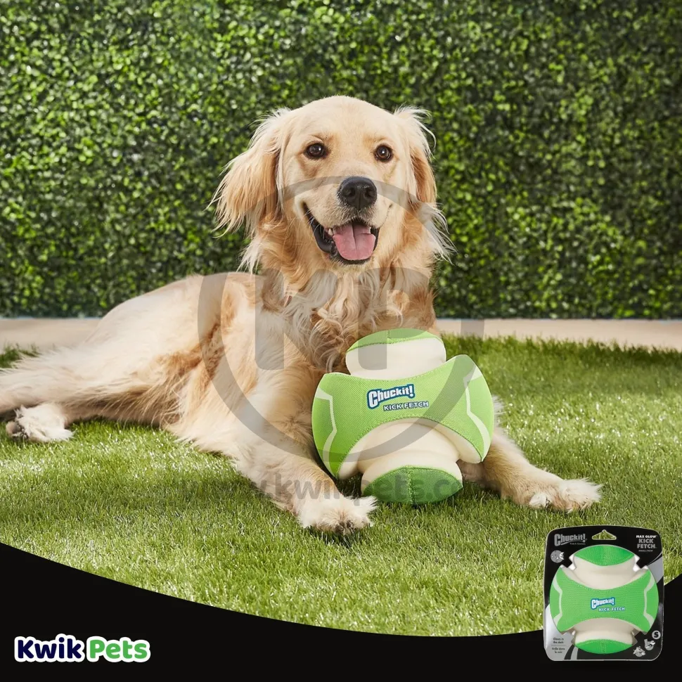 Chuckit! Kick Fetch Max Glow Dog Toy Green/White Large