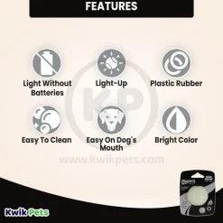 Chuckit! Max Glow Ball Dog Toy Small