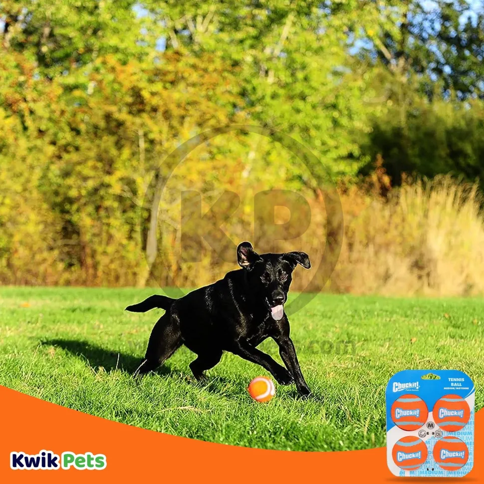 Chuckit! Tennis Ball Dog Toy Hang Tab Blue/Orange Medium 4 Count