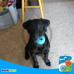 Chuckit! The Whistler Ball Dog Toy Assorted Small 2 Count